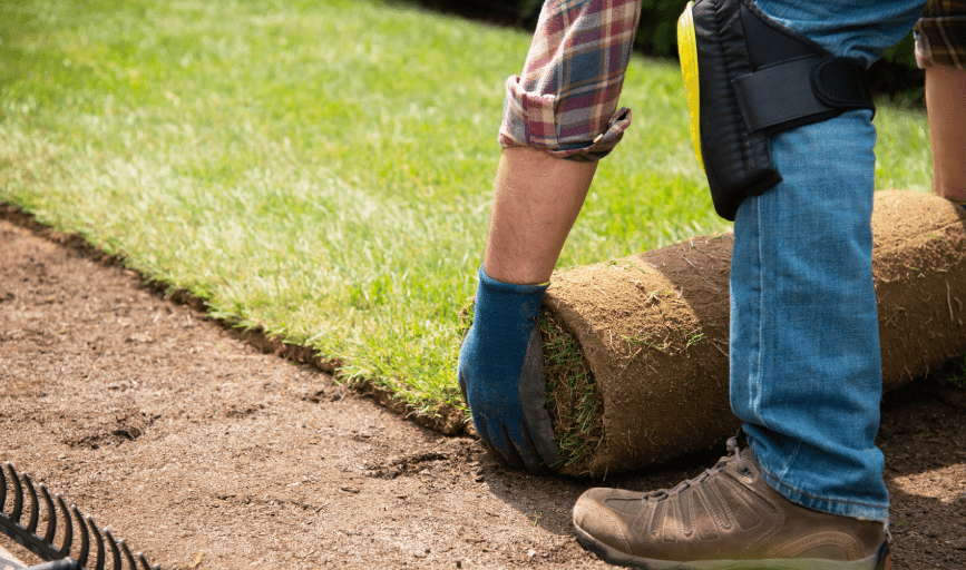 SOD INSTALLATION
