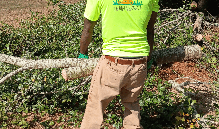 YARD CLEANUP